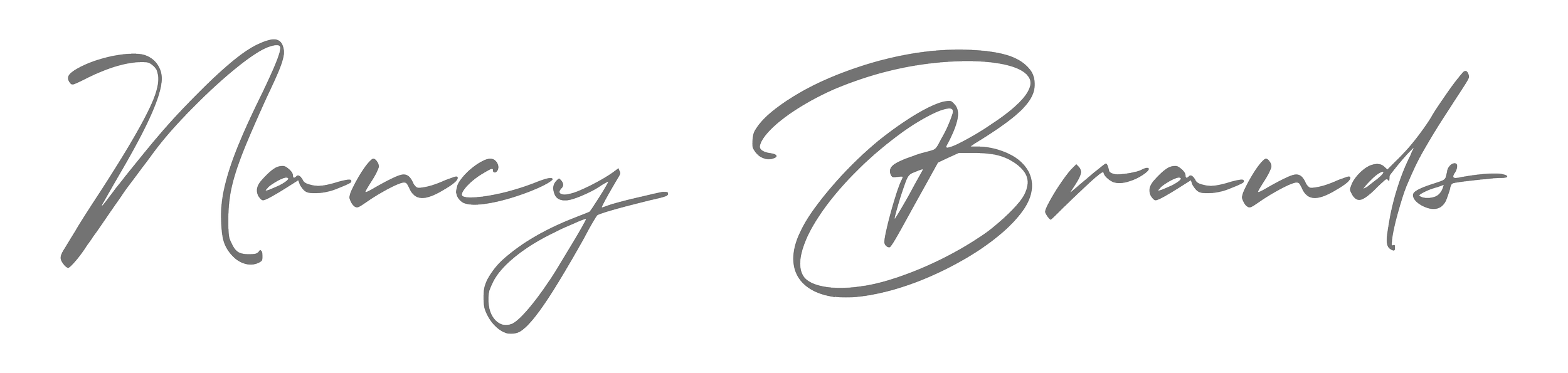 Mooiontwerp logo Nancy Brands.png