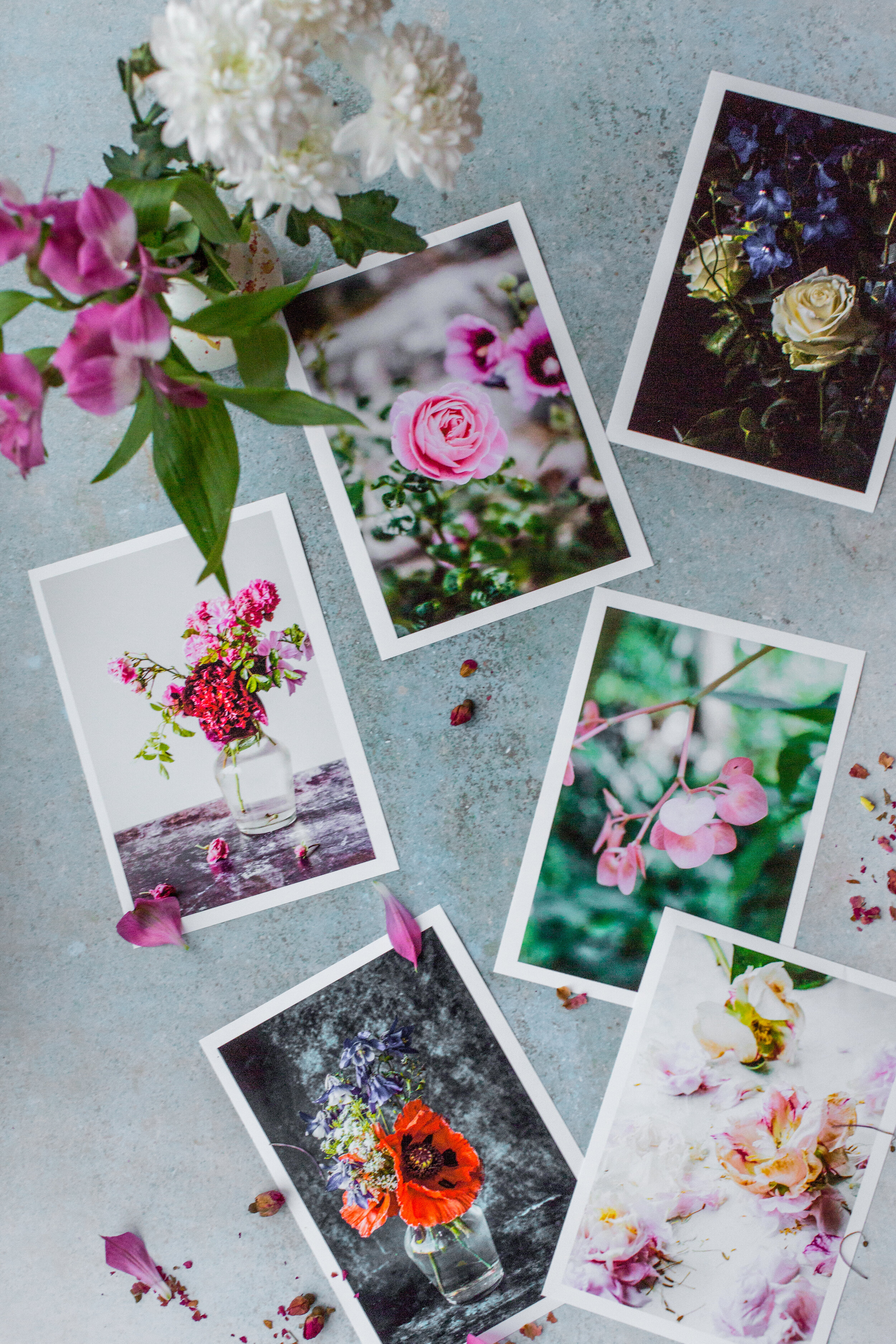 Pack of 5 mini A5 prints