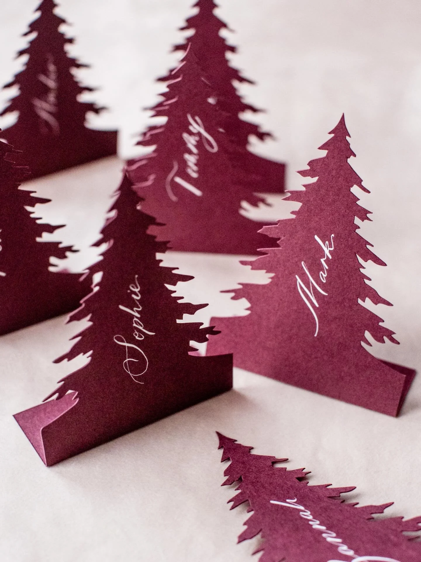 Fir tree placecards for a glorious Scottish December wedding with @wearegloam 
#placecards #scottishweddings #fineartstationerydesign #luxuryweddings #scottishluxuryweddings