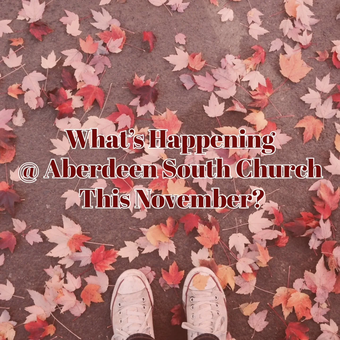 ASC Dates for your diary!