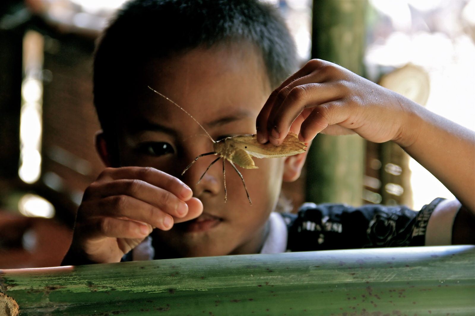   Sulawesi, Indonesia  