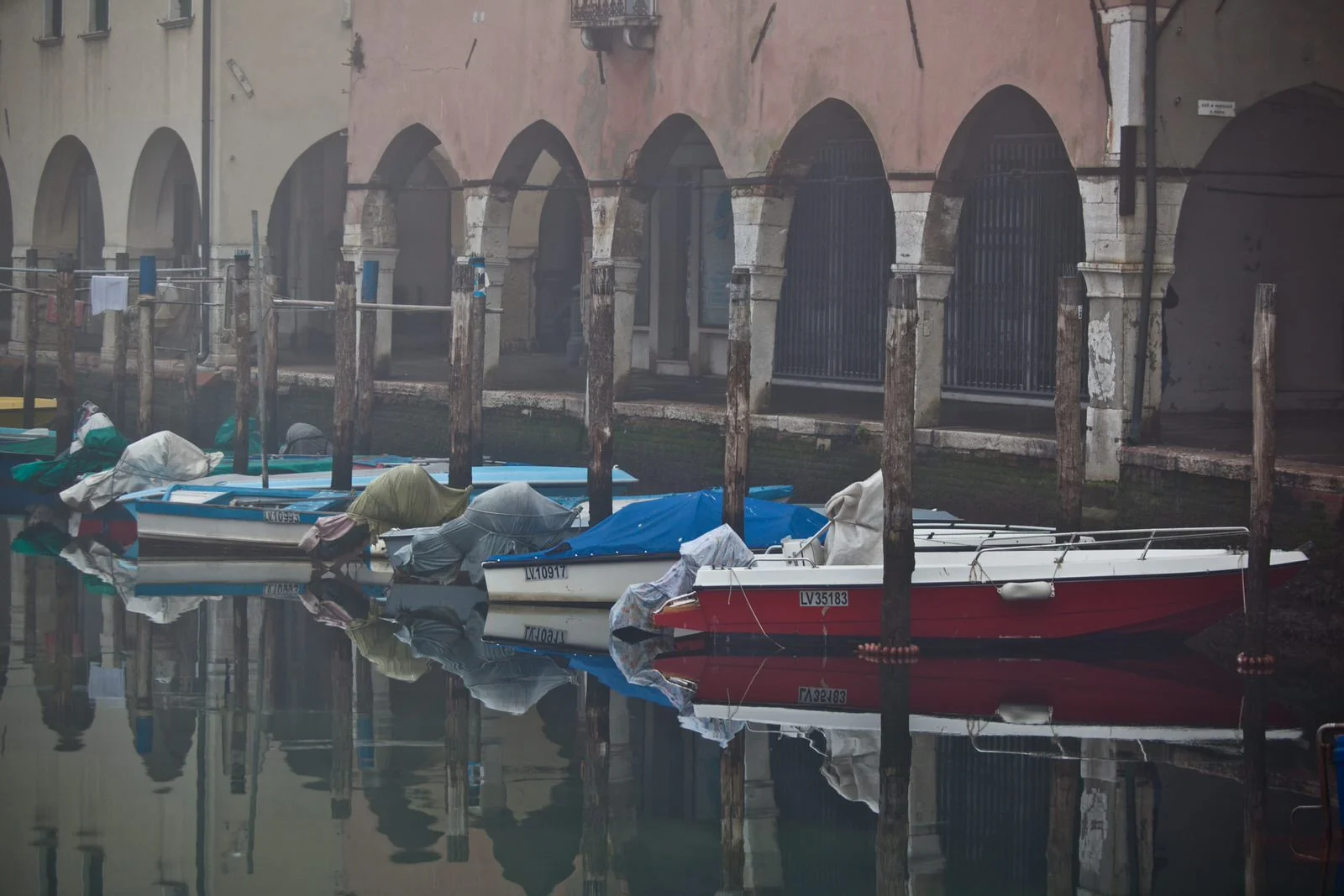 IMG_20920505.jpg