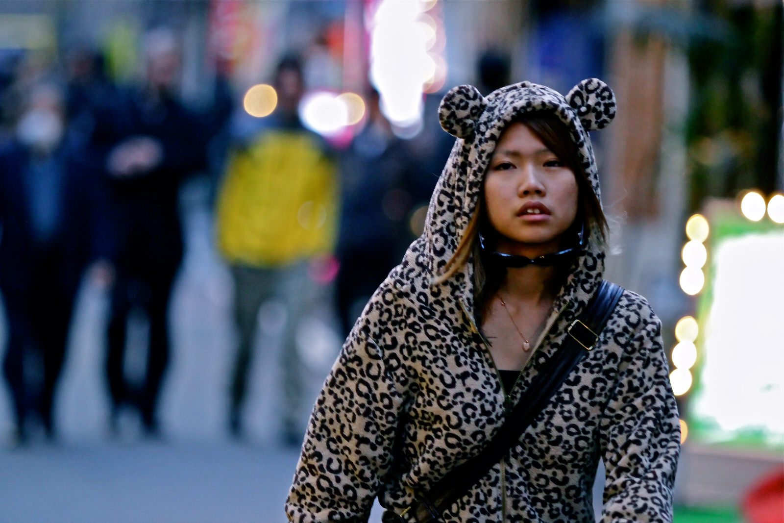 A Leopard Lose in Tokyo.jpg