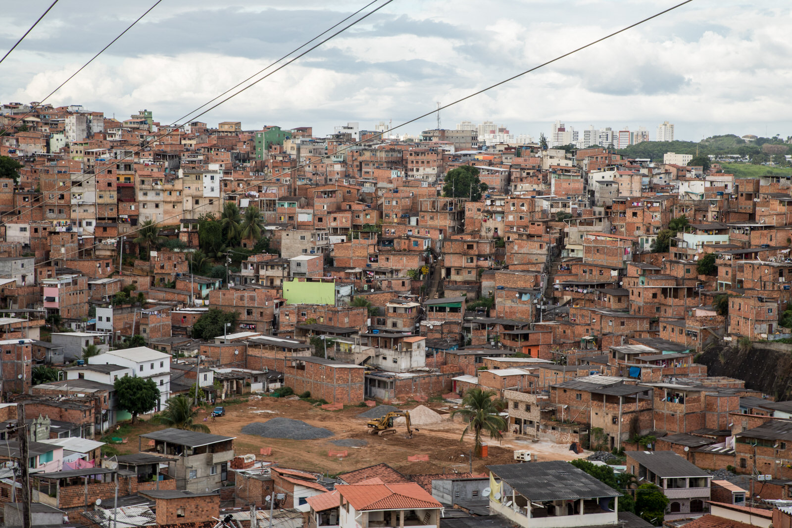  The Linha Viva project would cut right through the large neighbourhood, uprooting many and dividing the community, a threat that hampers not only the right to the city of vulnerable populations, but also their dignity. 