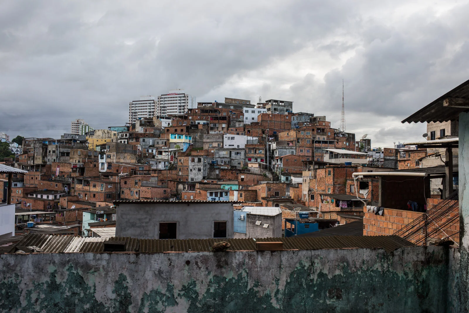 The Saramandaia neighbourhood was founded in the 1970s, and is located in a central area of the city. Currently there are 40,000 residents inhabiting 8,000 households.