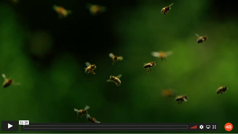 Capture d’écran 2021-10-01 à 08.49.49.png