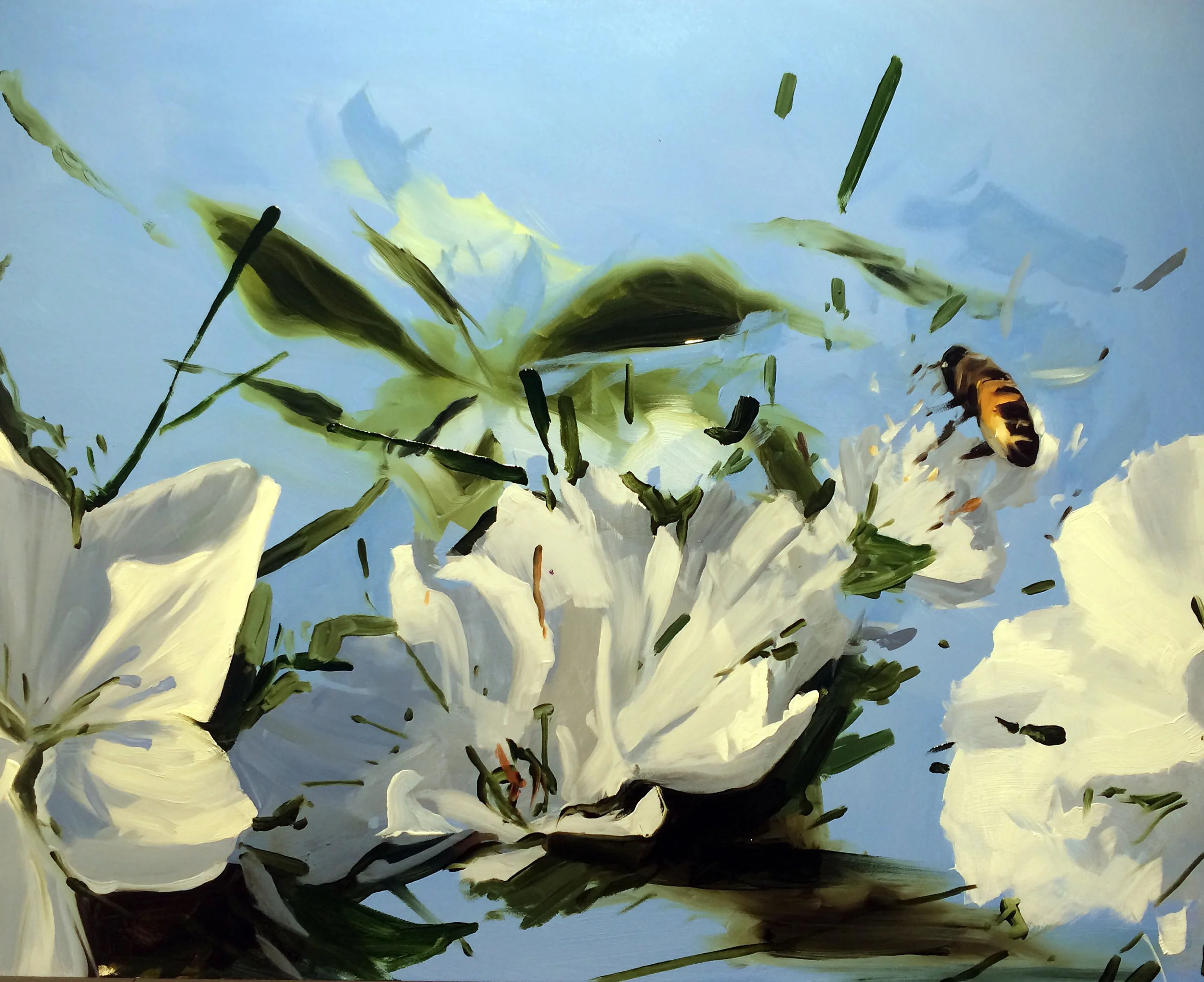 bees.jpg