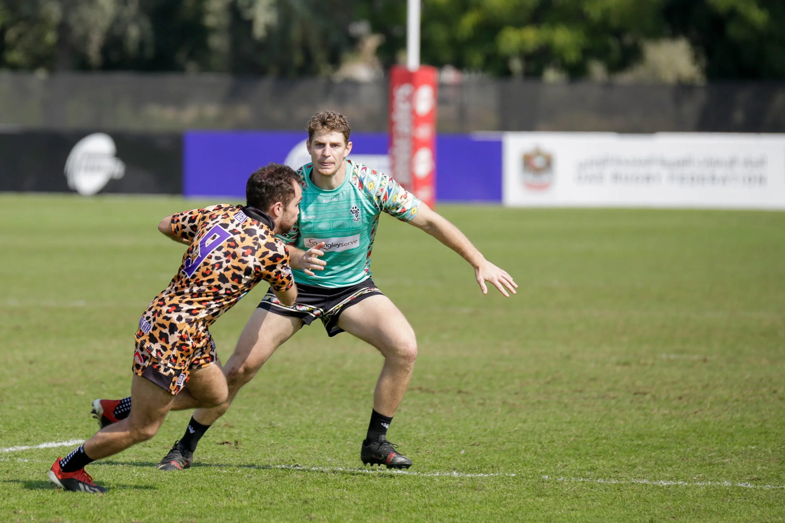 _P5D3112Dogs Hunting Cats.jpg