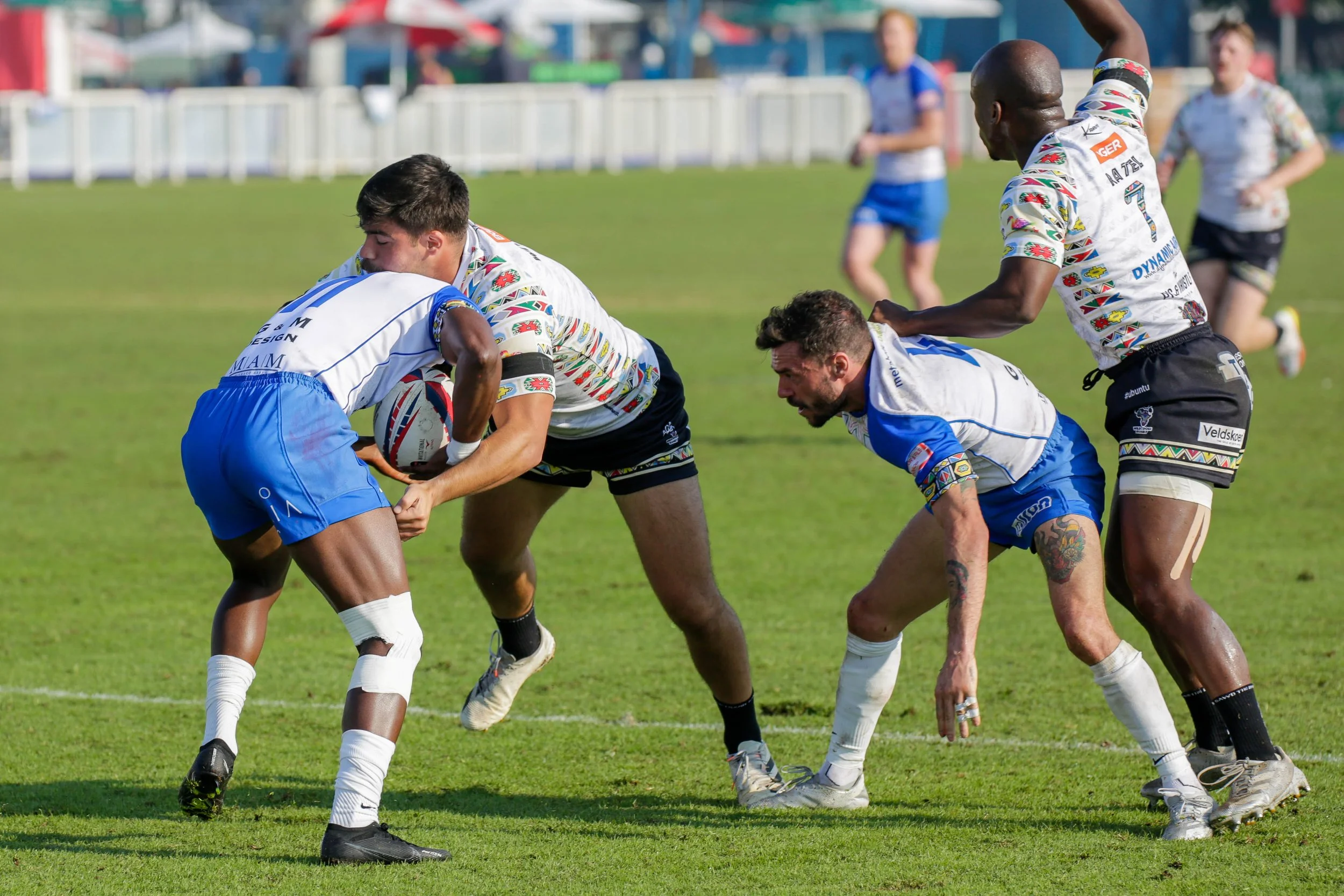 _P5D3565Brinky Hit.jpg