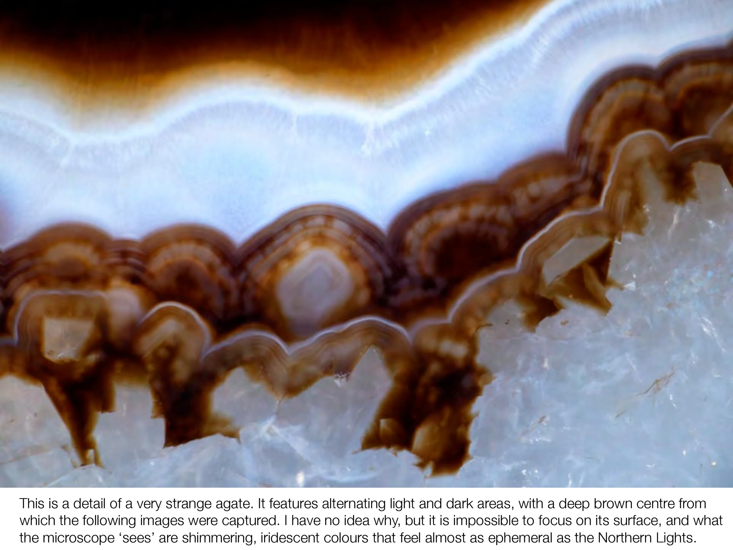 agate misc 1-page-21.jpg