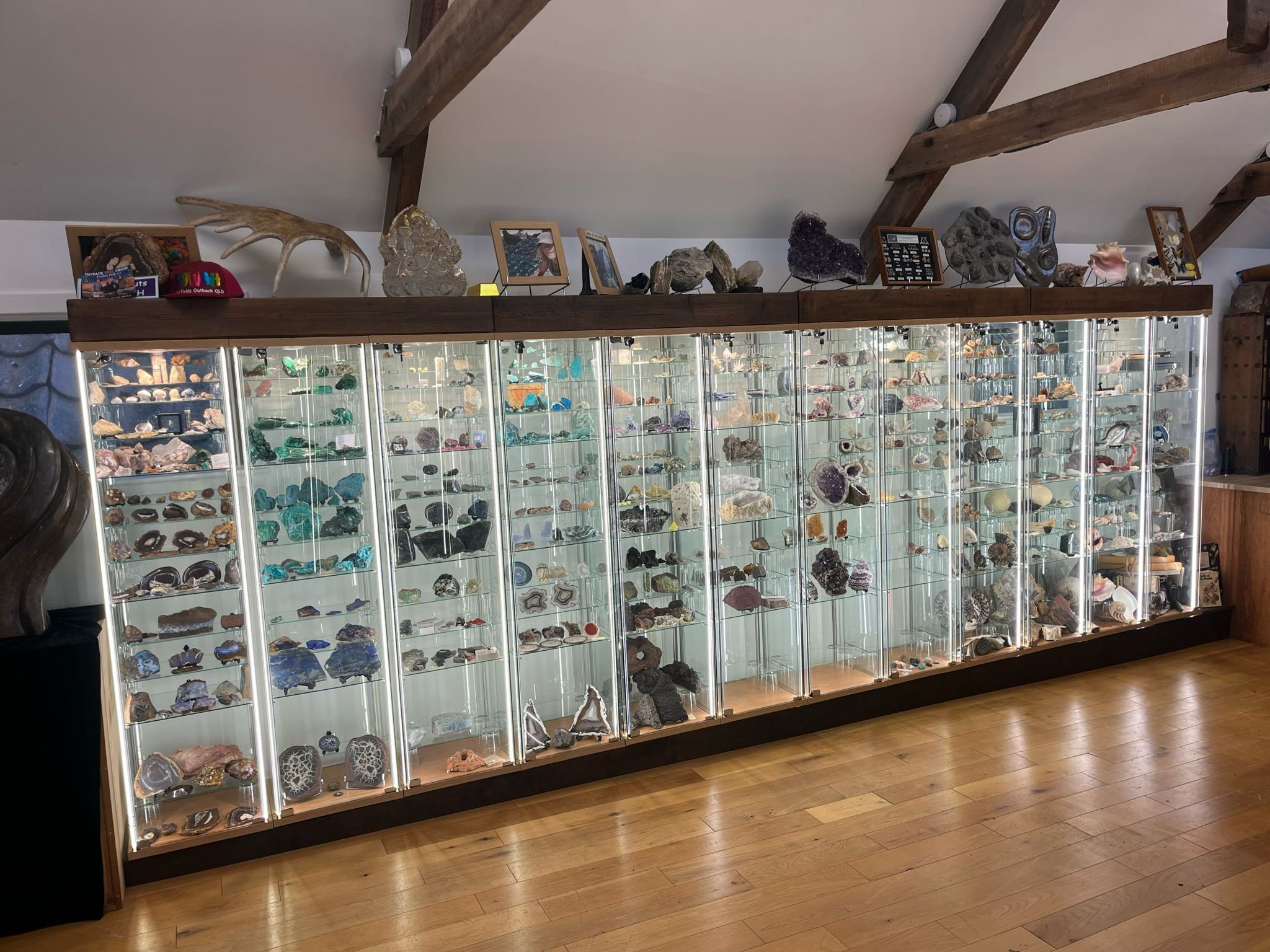 adam museum cabt.jpeg