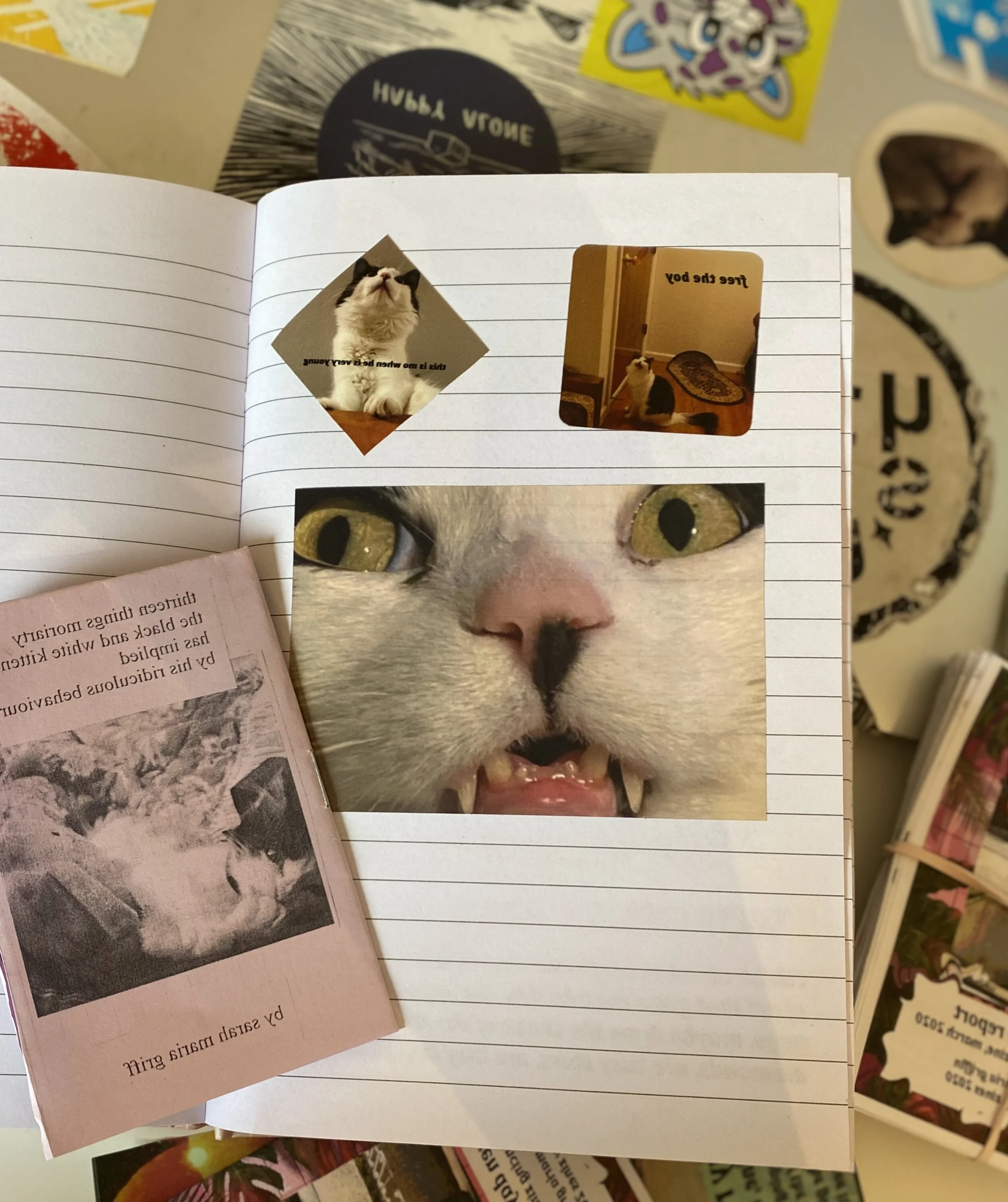 21097C17-D203-4928-8AFD-AB312003E288