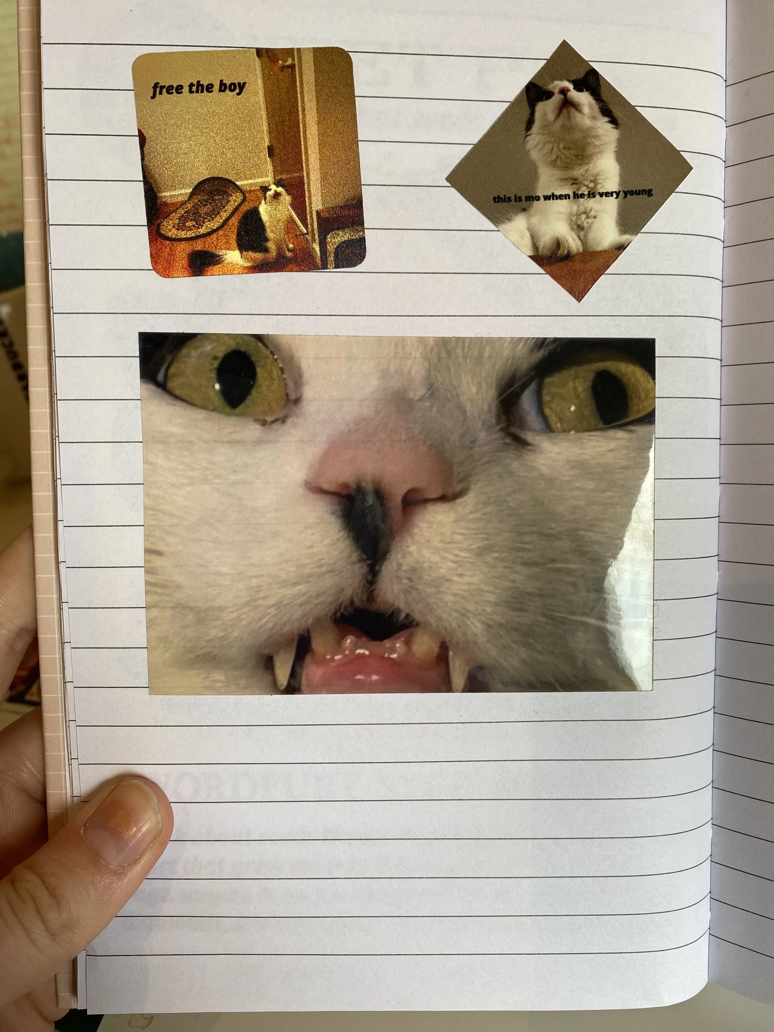 AE6EB379-E9F2-446F-86F5-44D372CC9BF8