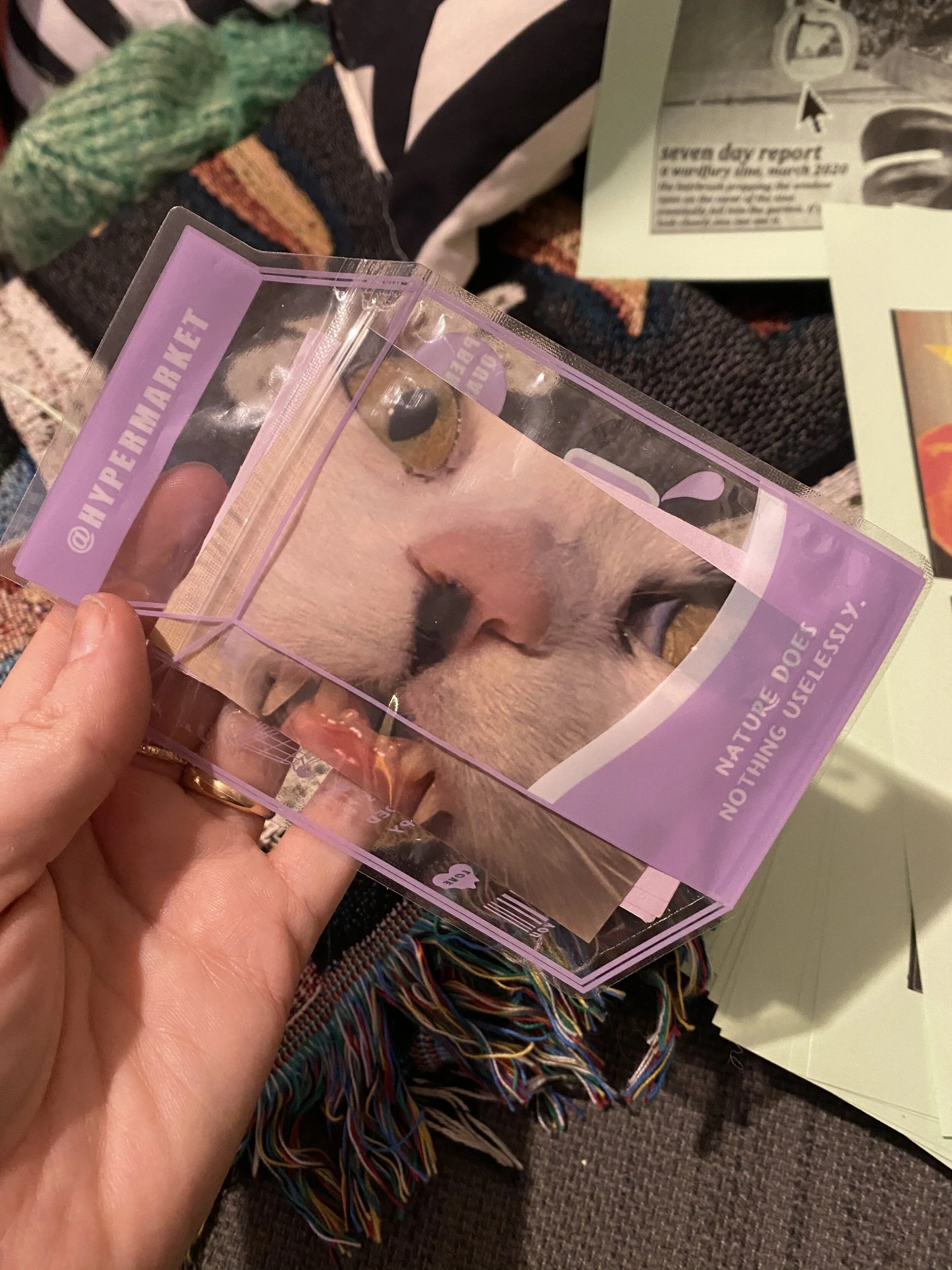 A6F9896C-147C-4939-93BF-44179E6AB4E9