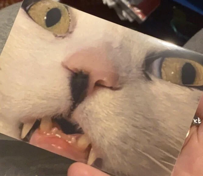 828BD6B4-6869-4B85-96B1-EE48B254D129