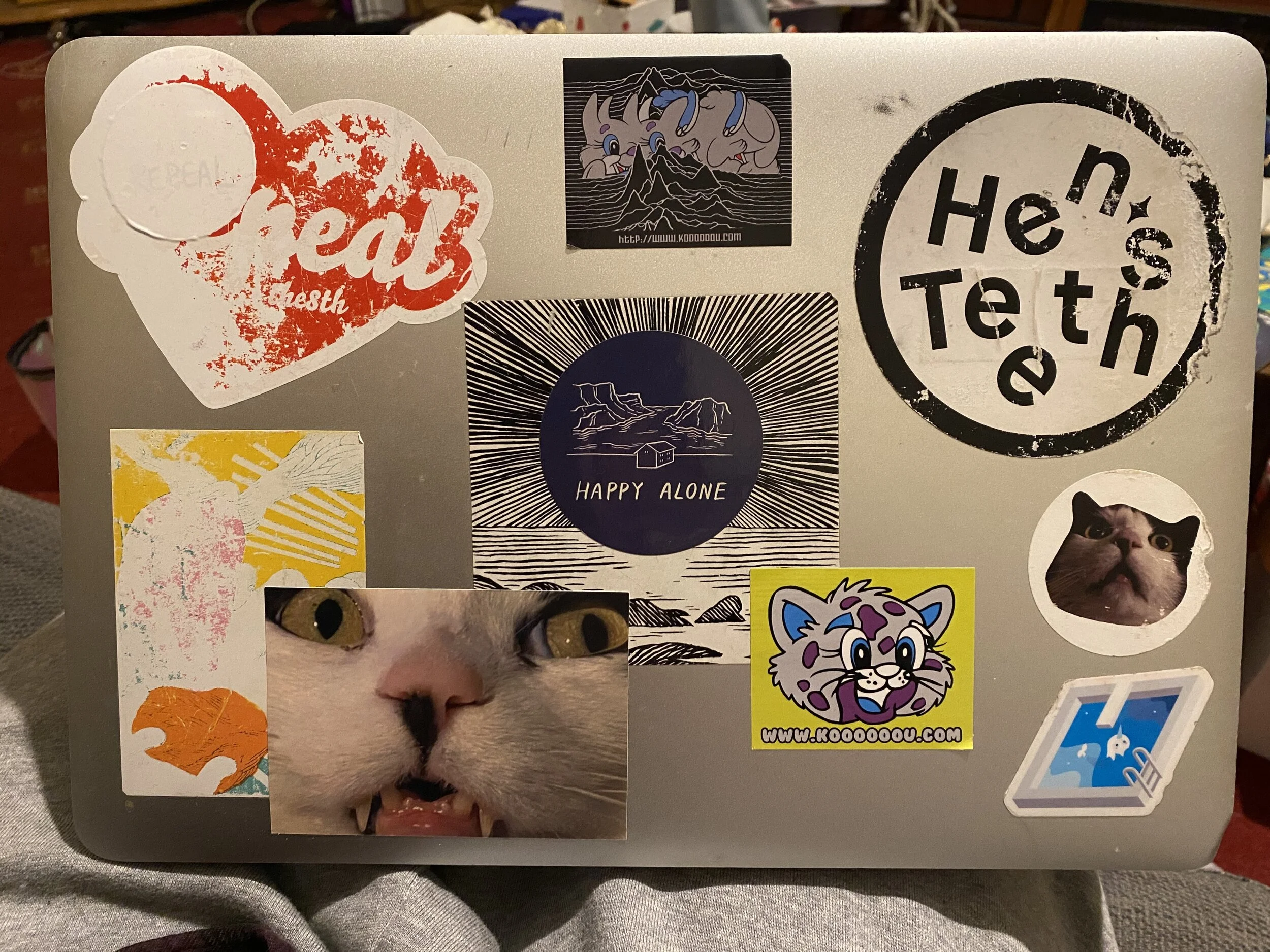 91327E0B-C69D-437C-95F1-E0E1B9168DEF