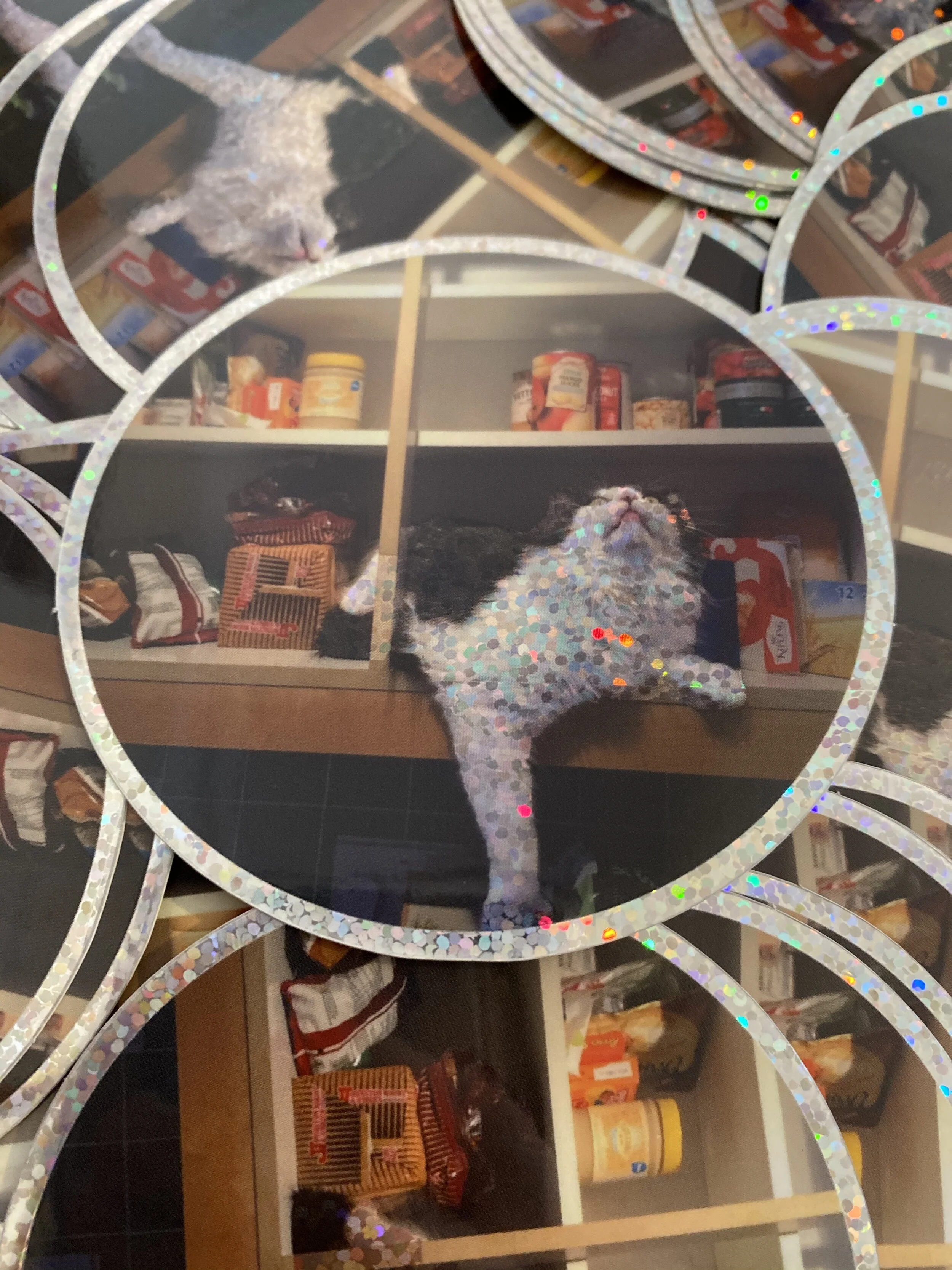 127EF3EF-7D44-4F7B-A6AF-E7AB0694E707