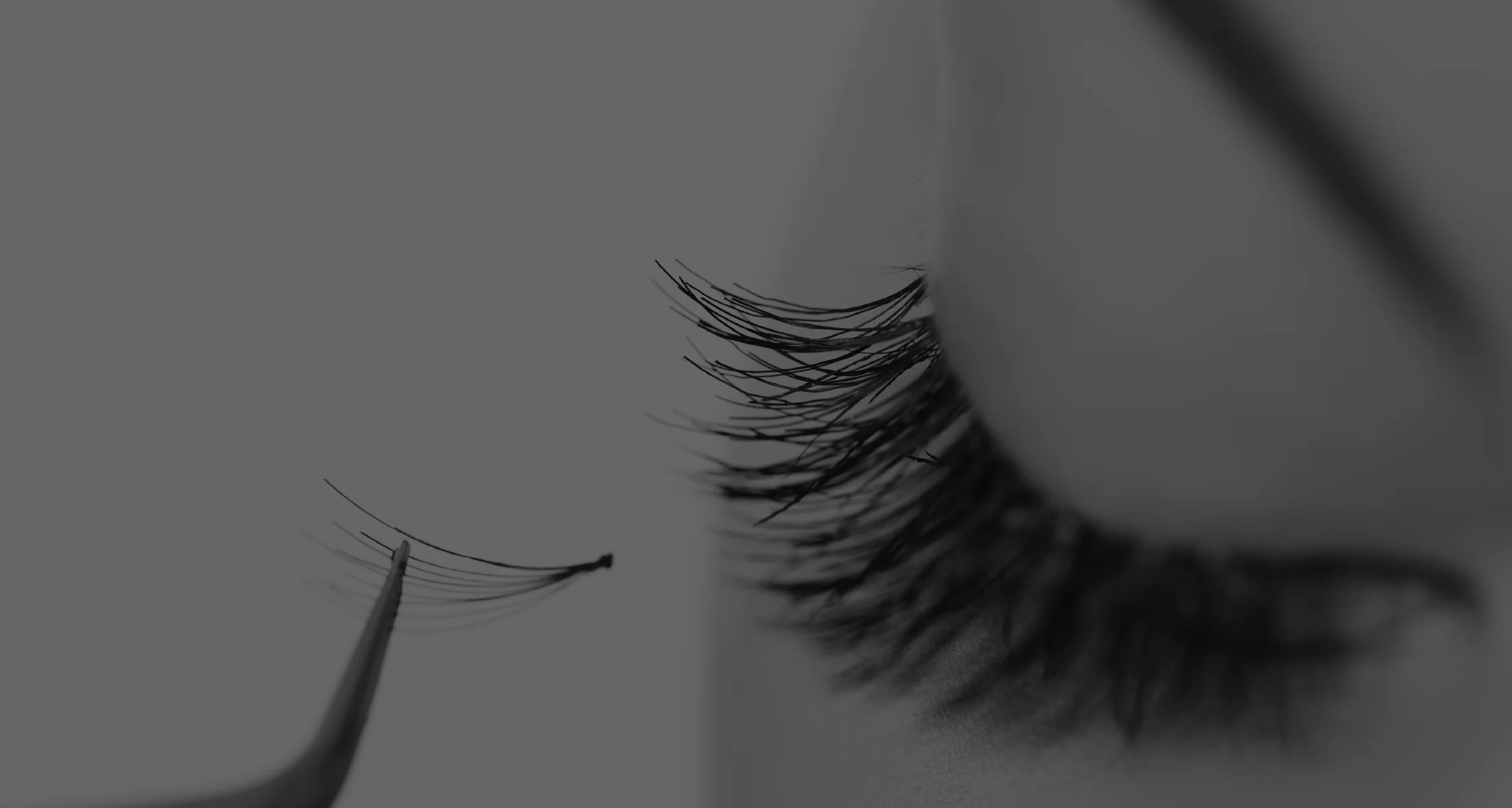 eyelashes.jpg