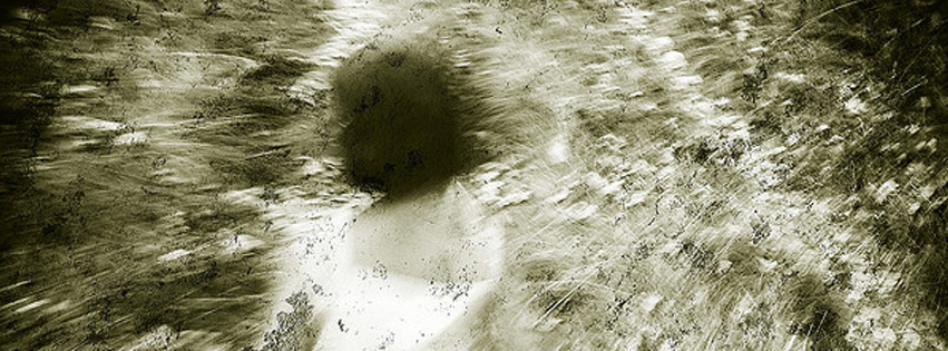 (Image by Luis Mariano González)