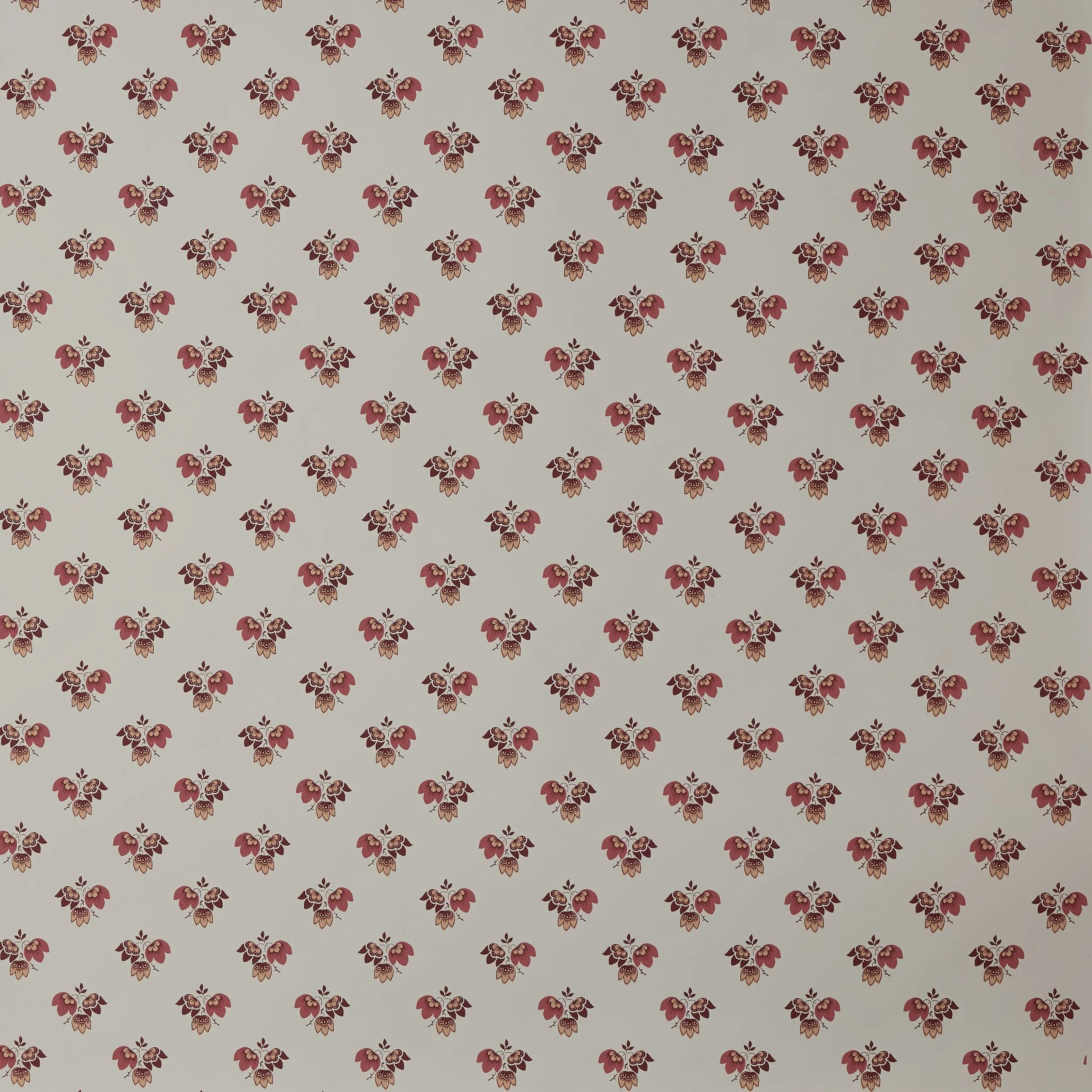 Beatrice WP Carnation.jpg