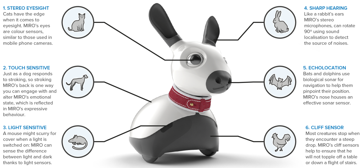 MiRo is an biomimetic companion robot designed with an advanced brain to learn from its surroundings and develop a unique personality.