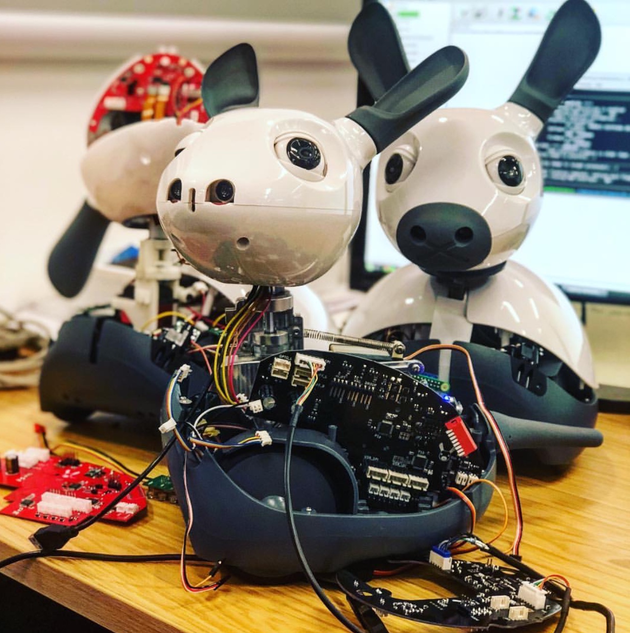 Can MiRo help? Evolved for education!