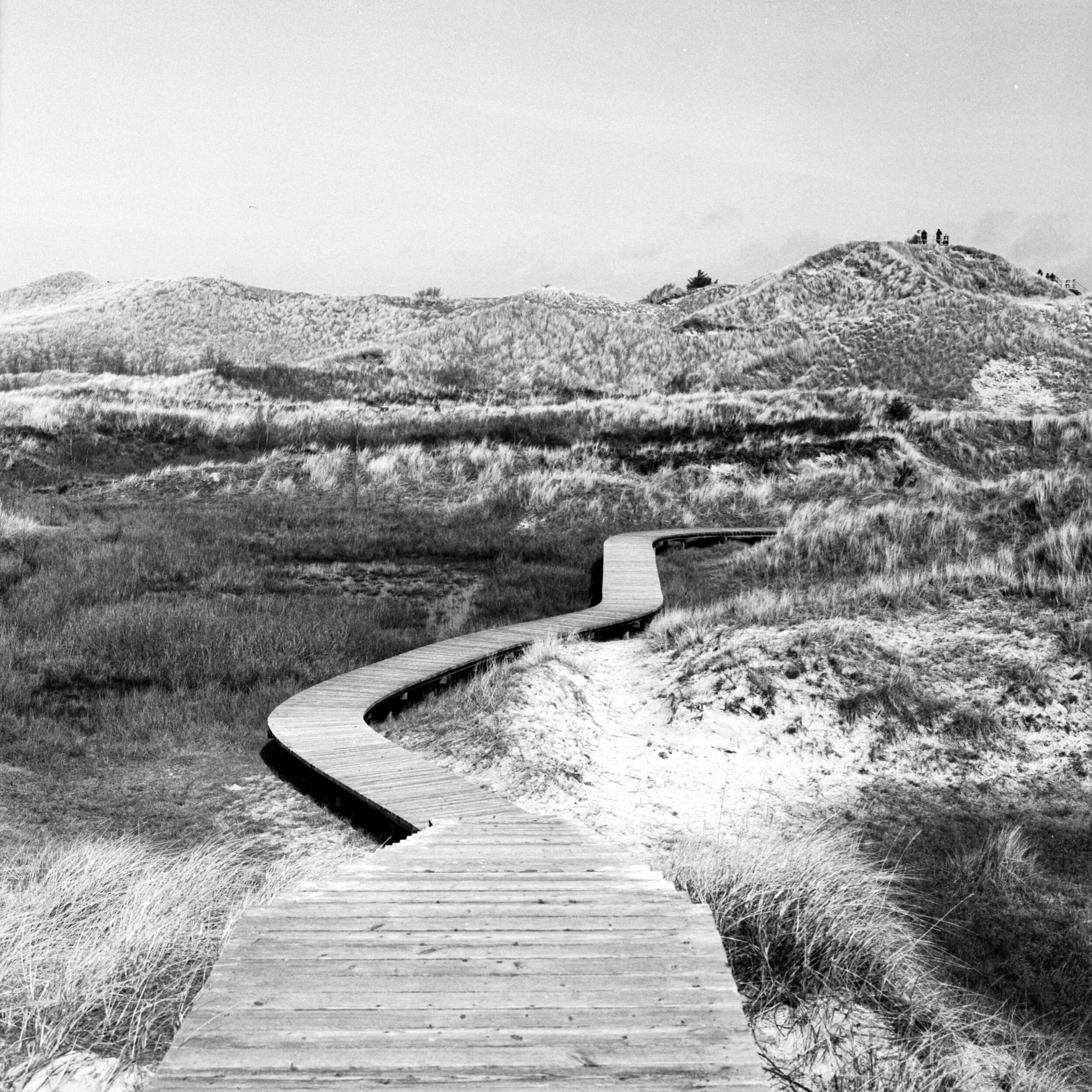 Path I