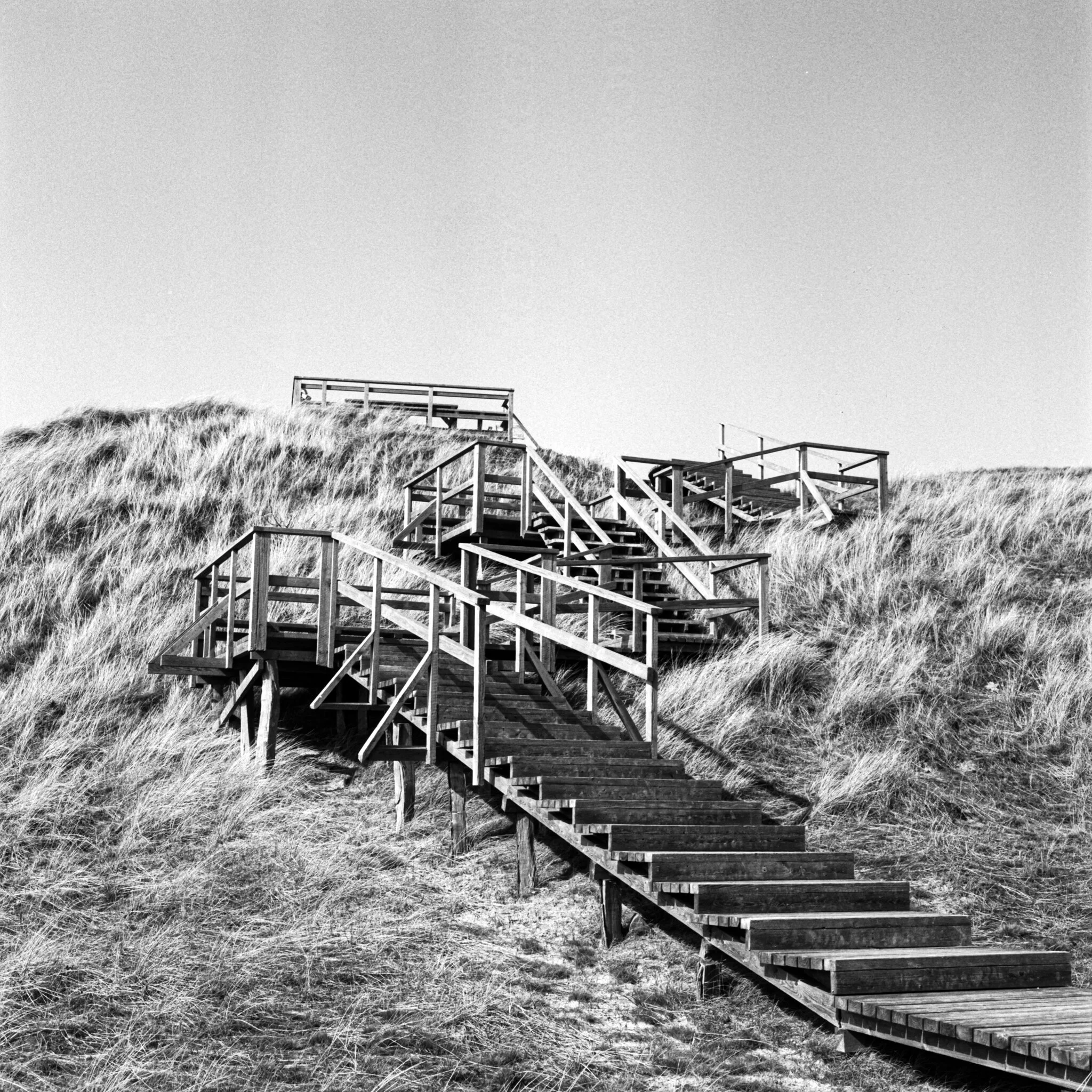 Path III
