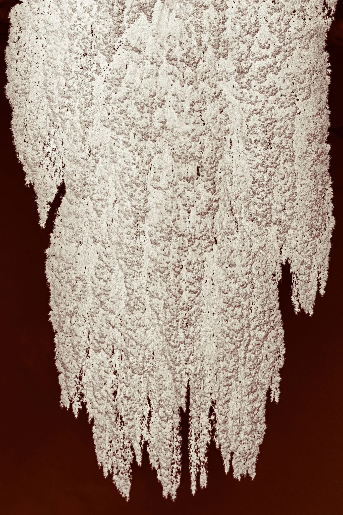 WhatsApp Image 2024-08-30 at 10.59.27.jpeg