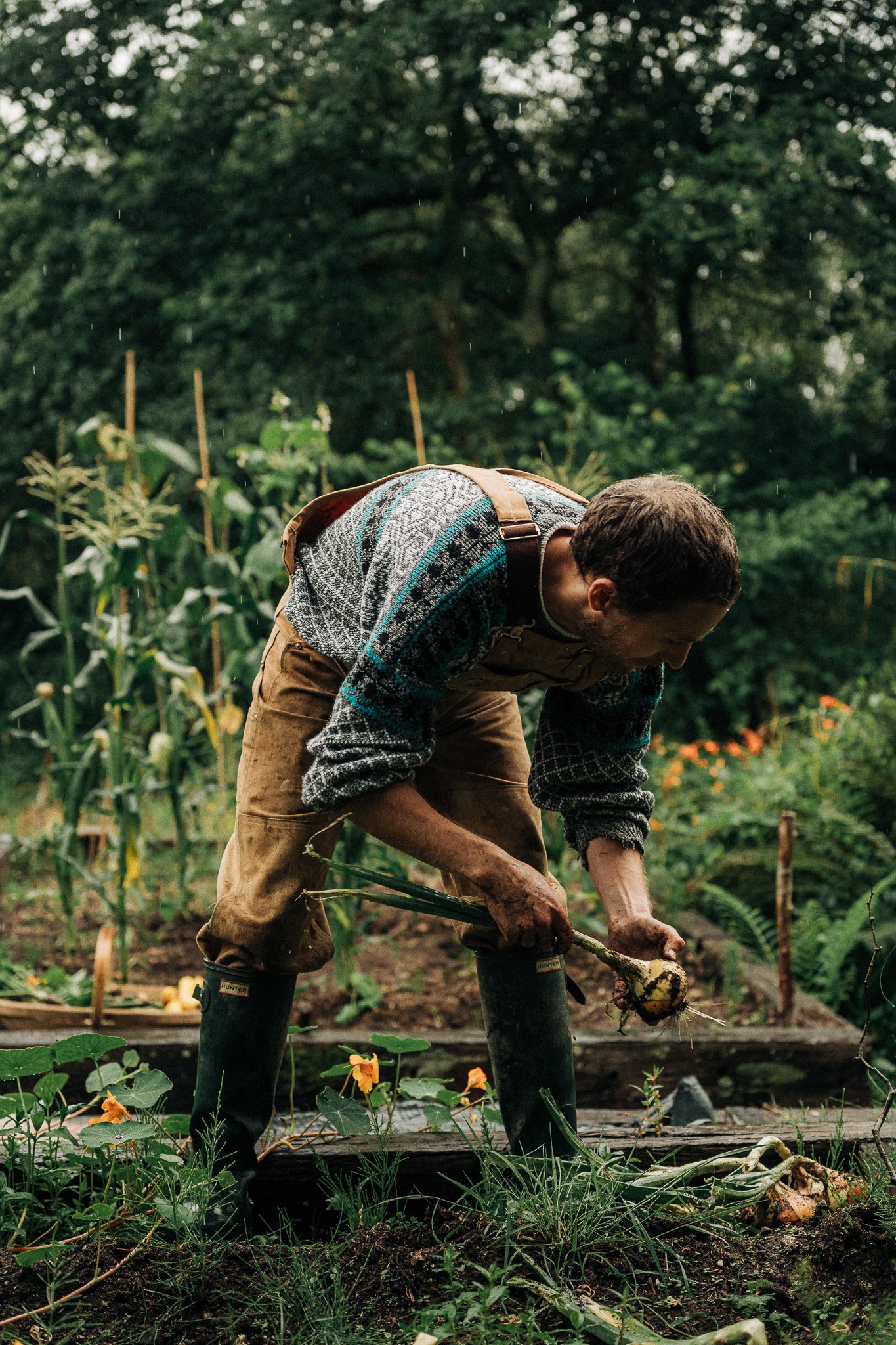 Ed Harrison Design, Vegetables - Alex Sedgmond_Lifestyle Photographer - South Wales_-65.jpg