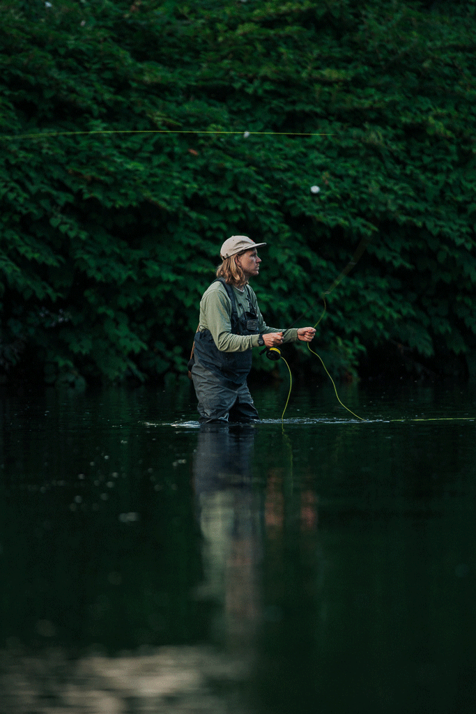 Sam-Fish-6.gif