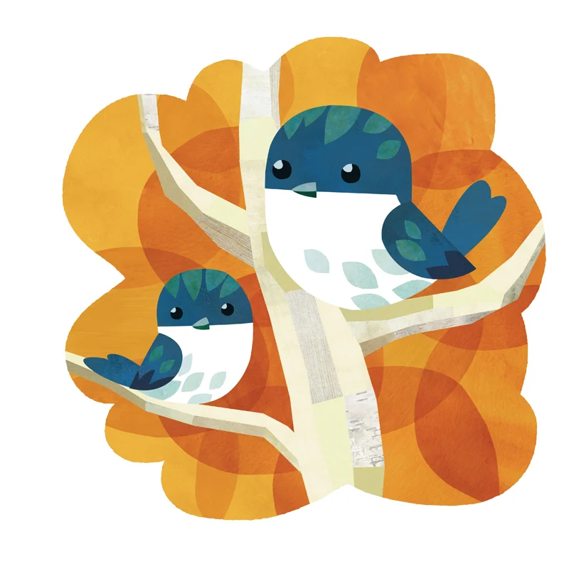 Birds-TreeSwallow100dpi.jpg