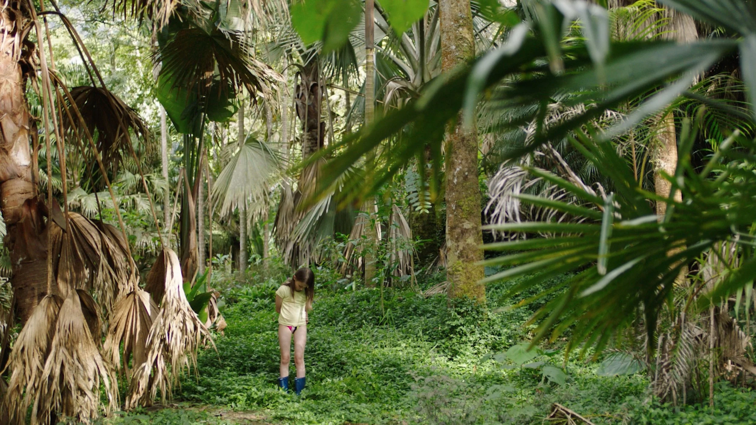 Verde_Still_2.jpg