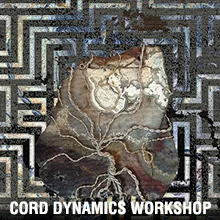 cord-dynamics-renee-hella.jpg