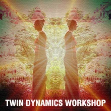 twin-dynamics-renee-hella.jpg