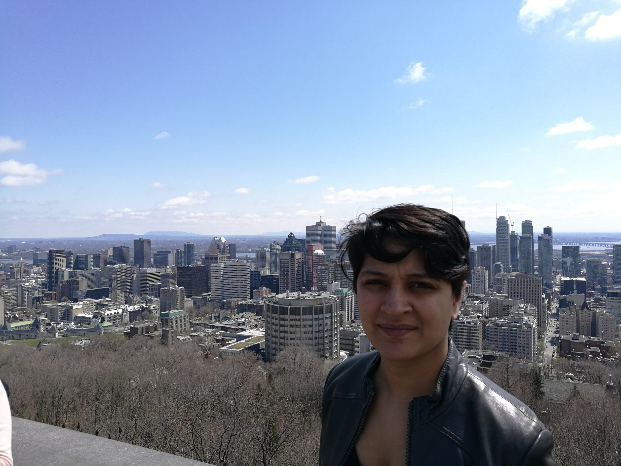 View from top of Mont Royal