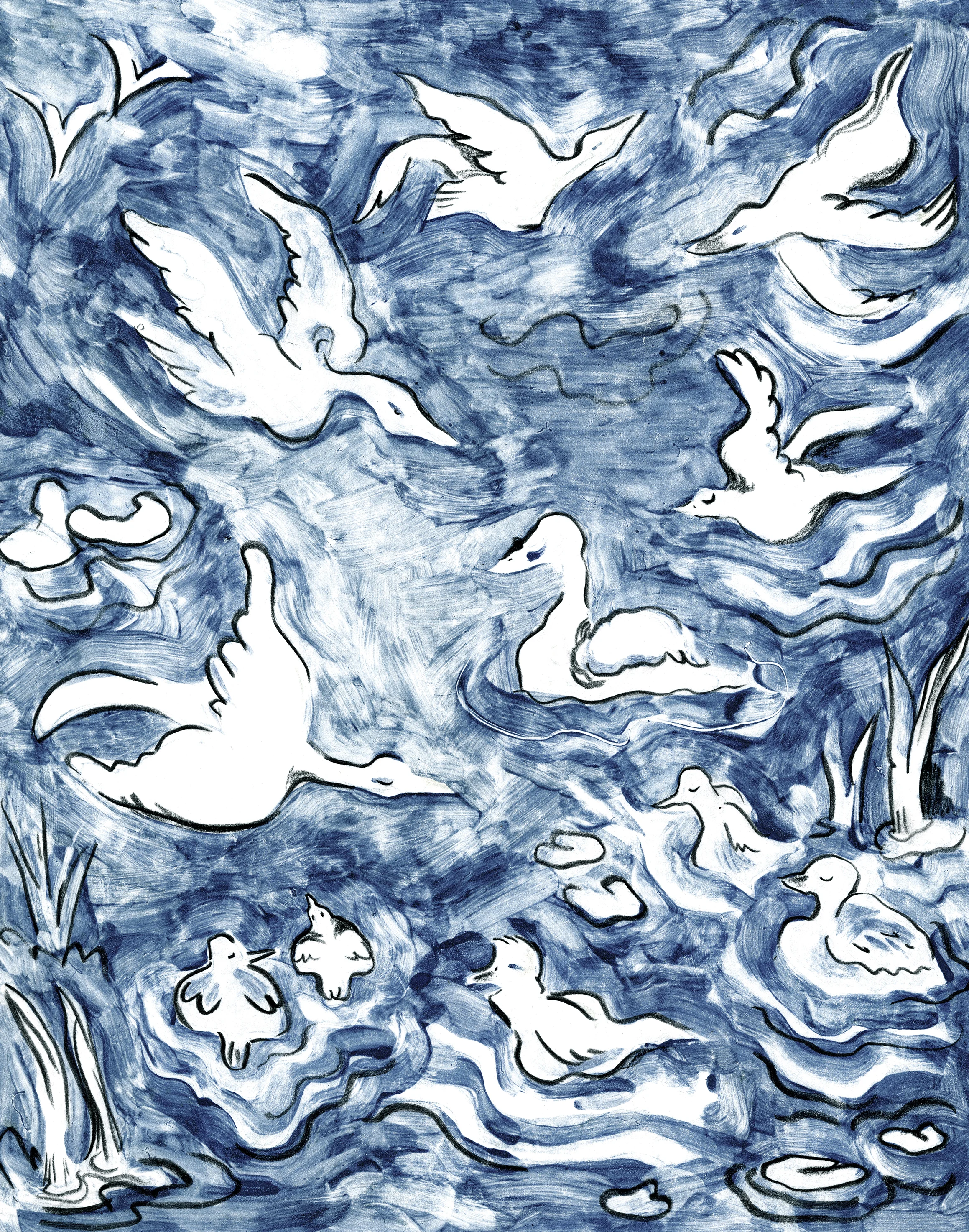 duckpond.jpg