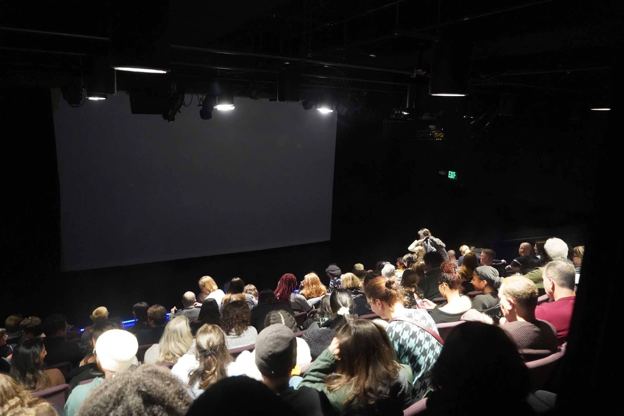NTLive fleabag crowd shot 5.JPG