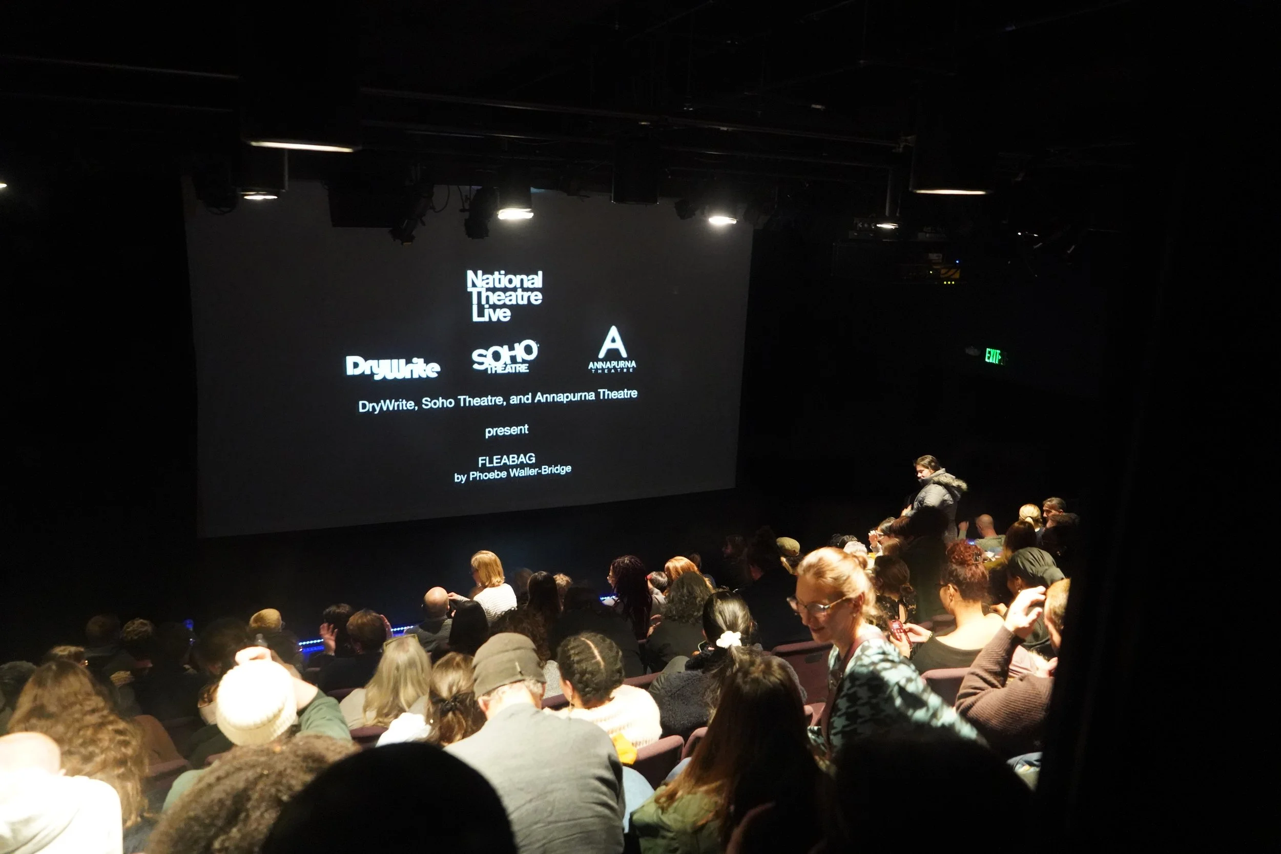 NTLive fleabag crowd shot 4.JPG