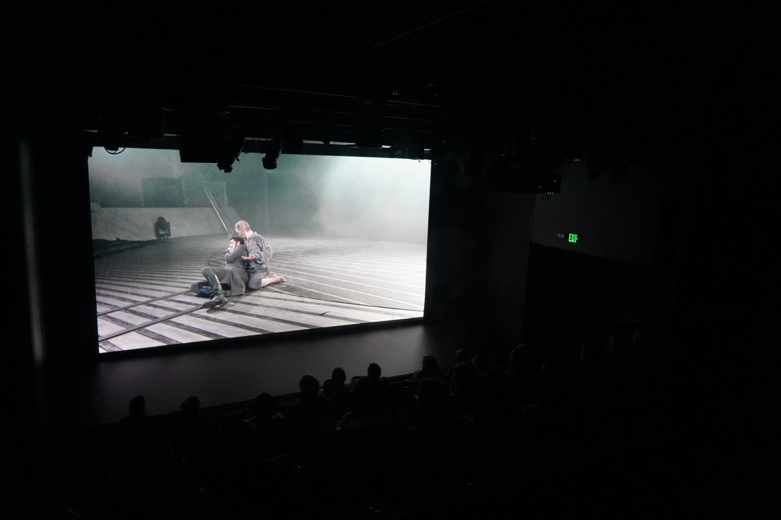 NTLive frankenstien crowd shot 1.JPG