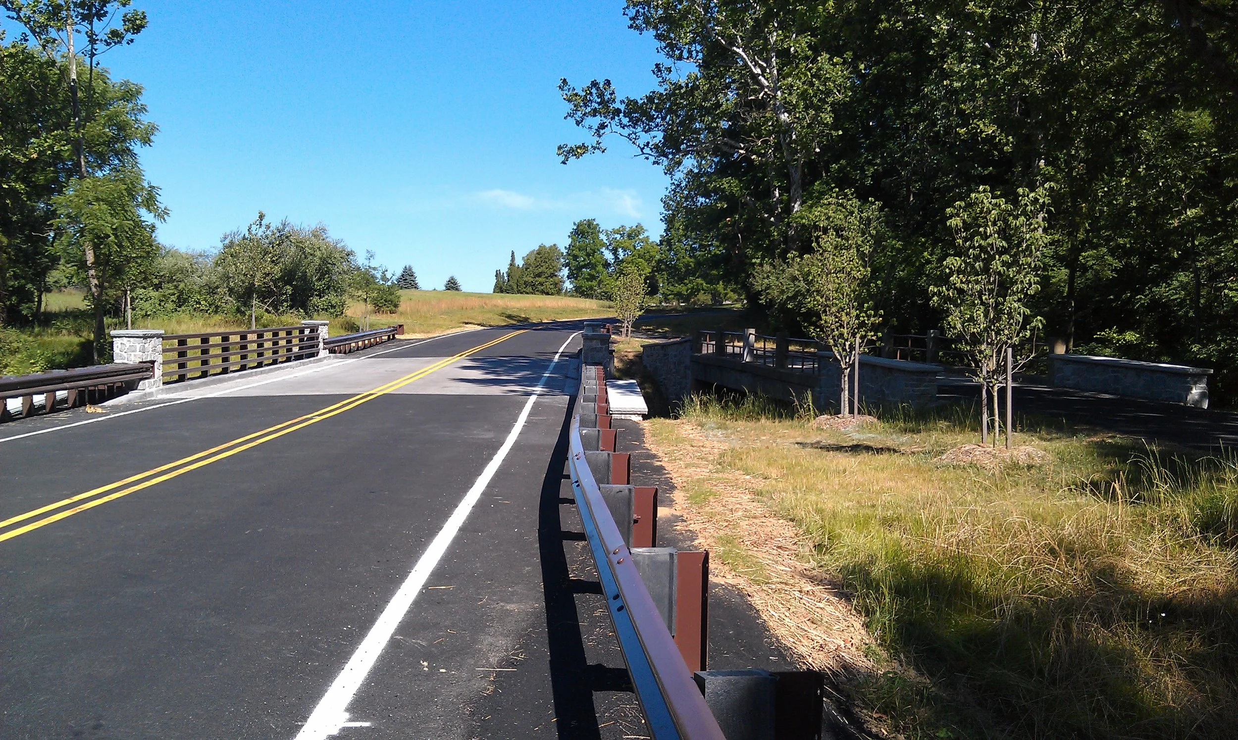 IMAG0266.jpg