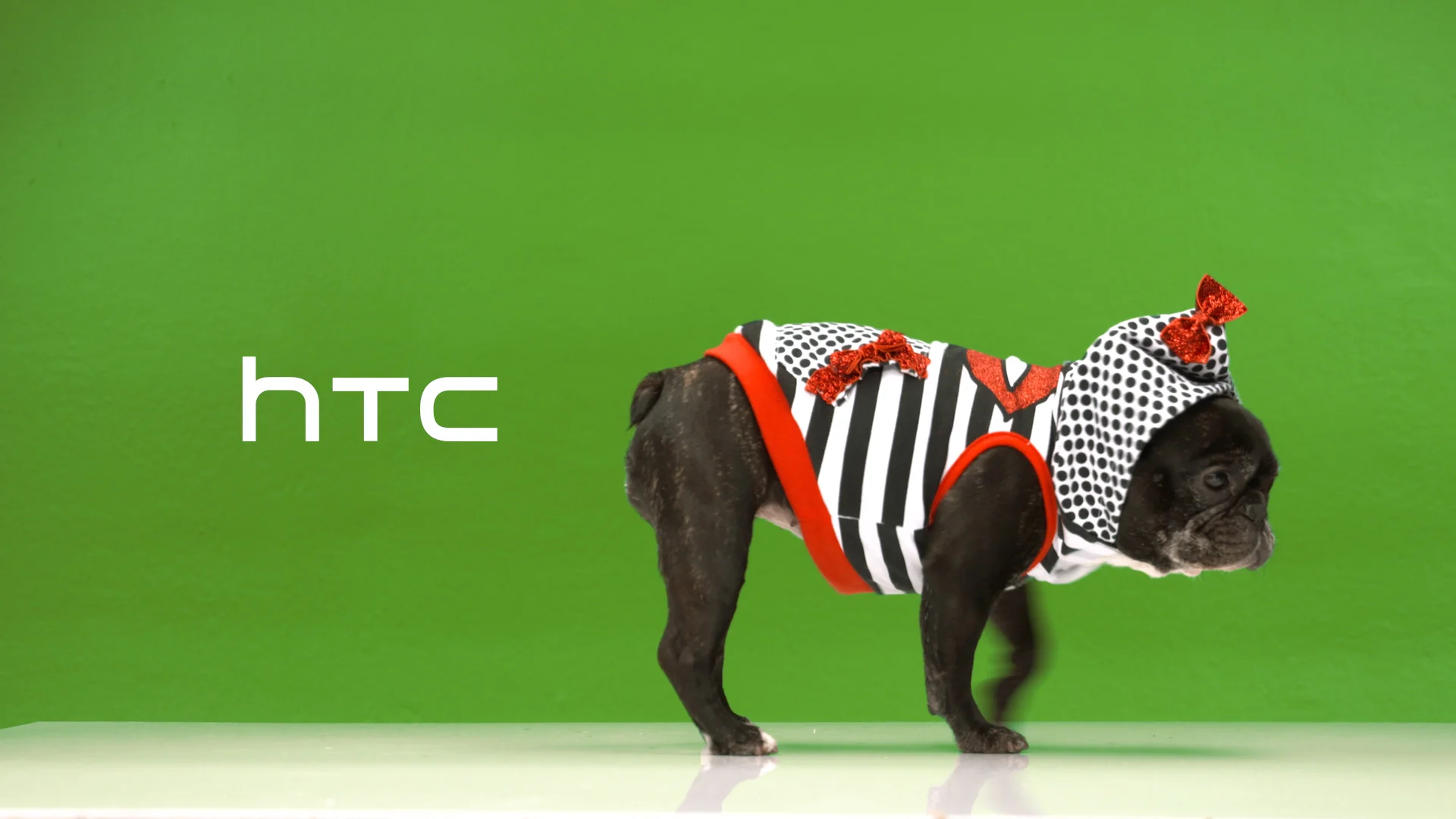 HTC-BANNER-IMAGE.jpg