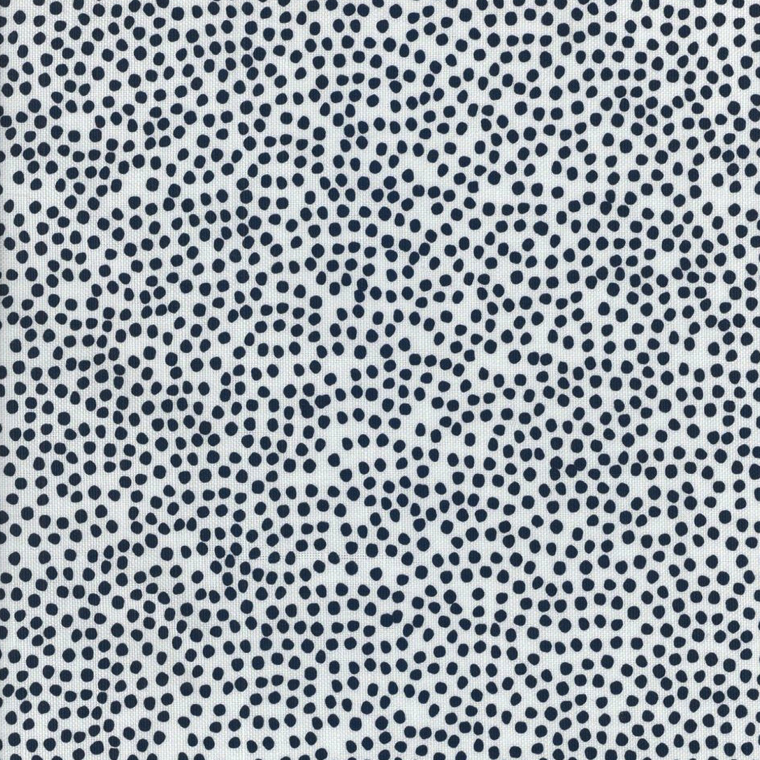 Freckles Navy