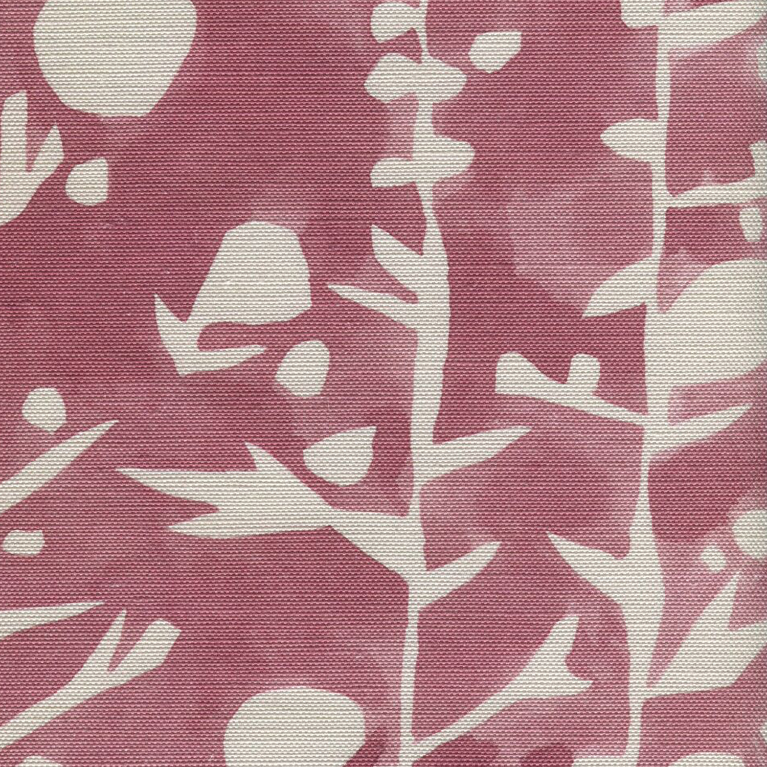 French Quilt Coral