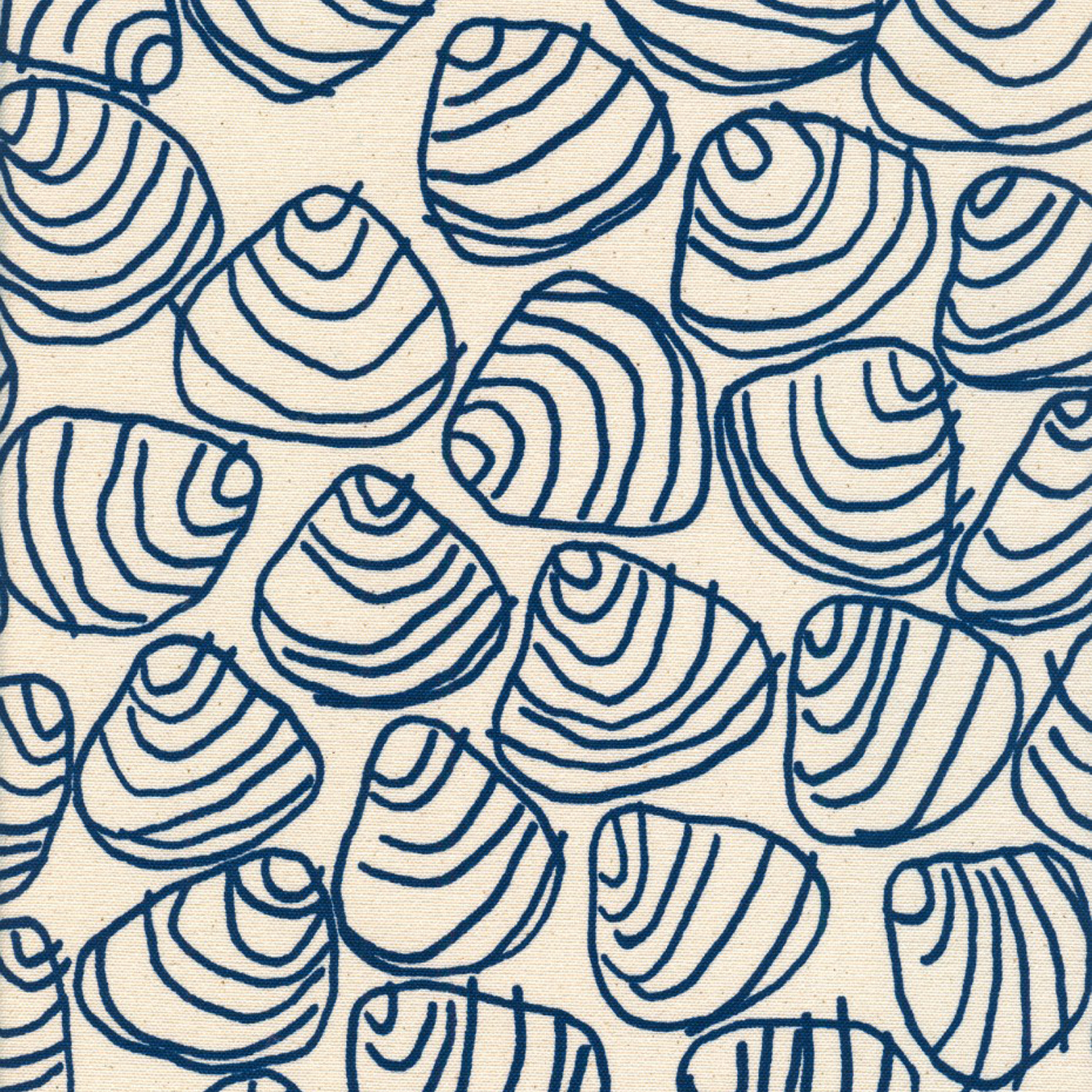 Navy Shells