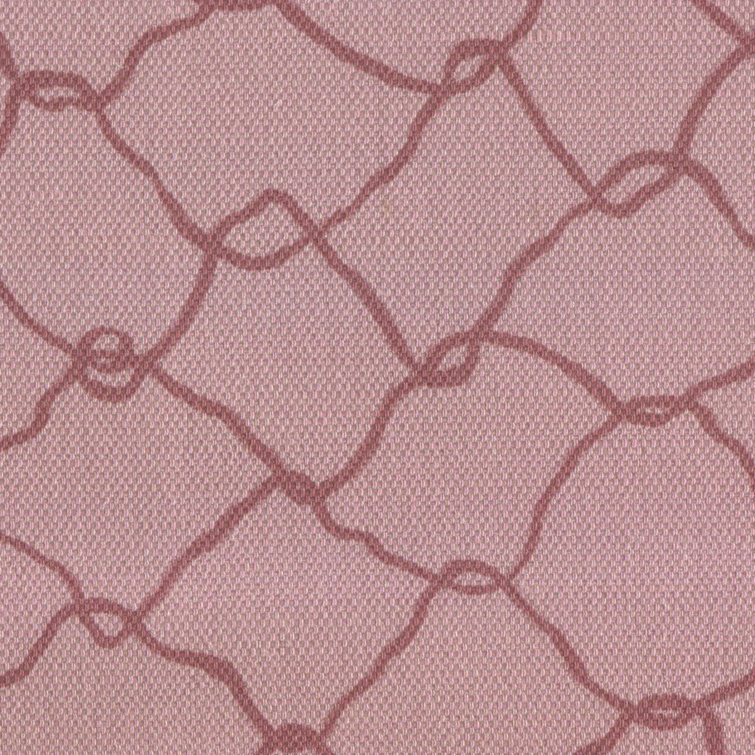 Net Rose