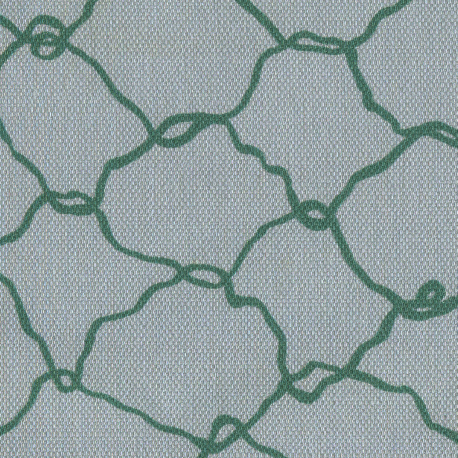 Net Vine