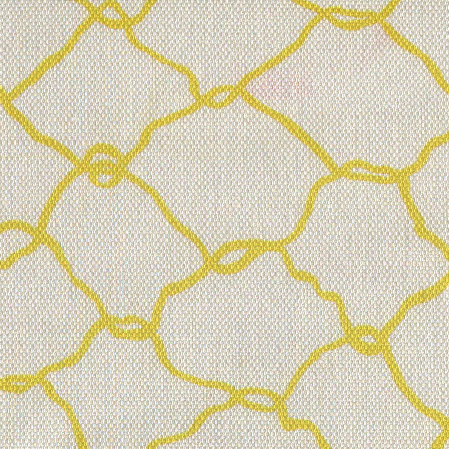 Net Canary