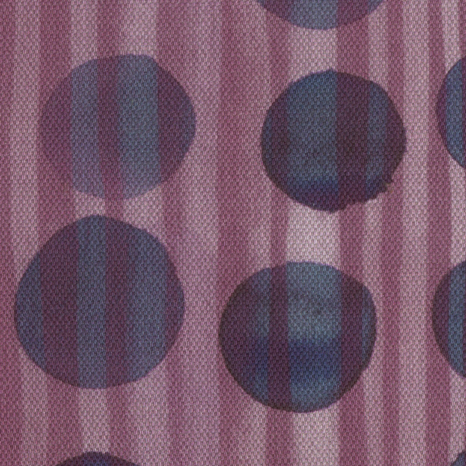 Hoop Fig
