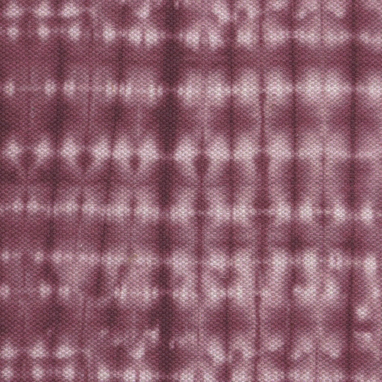 Baja Plum